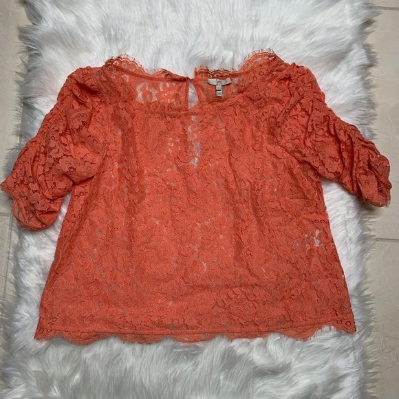 Joie All over Lace Fanny top sz S - Picture 4 of 6